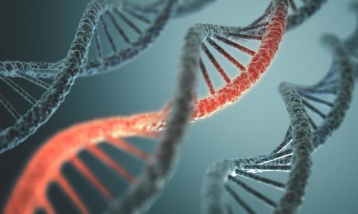 genetic mutation