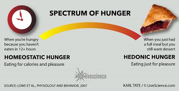 Click to enlarge Spectrum of hunger