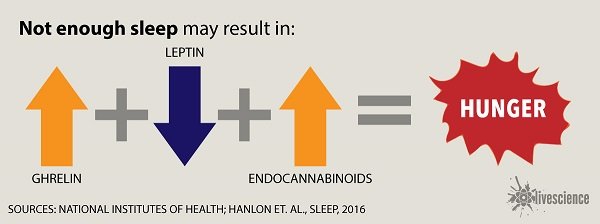 Click to enlarge Sleep hormones hunger