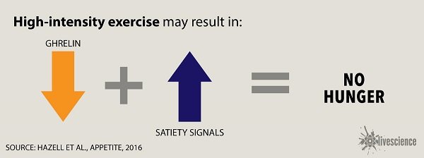 Click to enlarge exercise control hunger