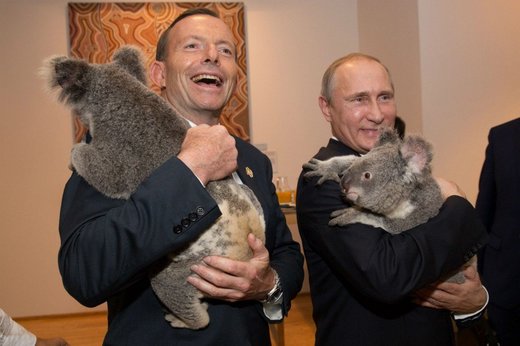 Click to enlarge Putin with coala