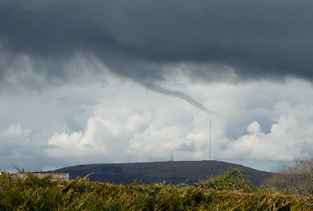 Twister