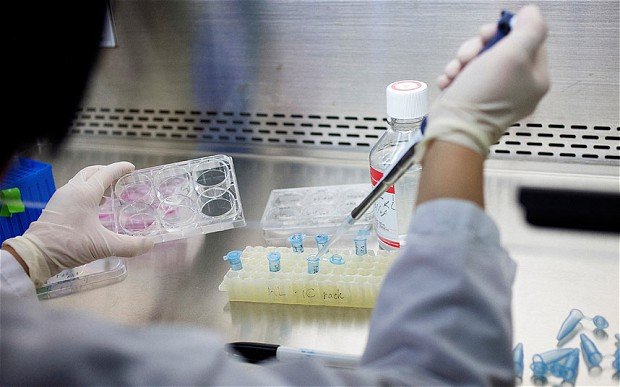 Click to enlarge stem cell research
