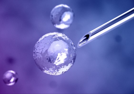 stem cell research
