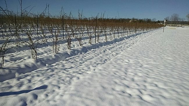 snow lake seneca ny april 2016