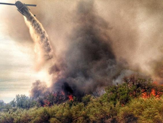 wildfire