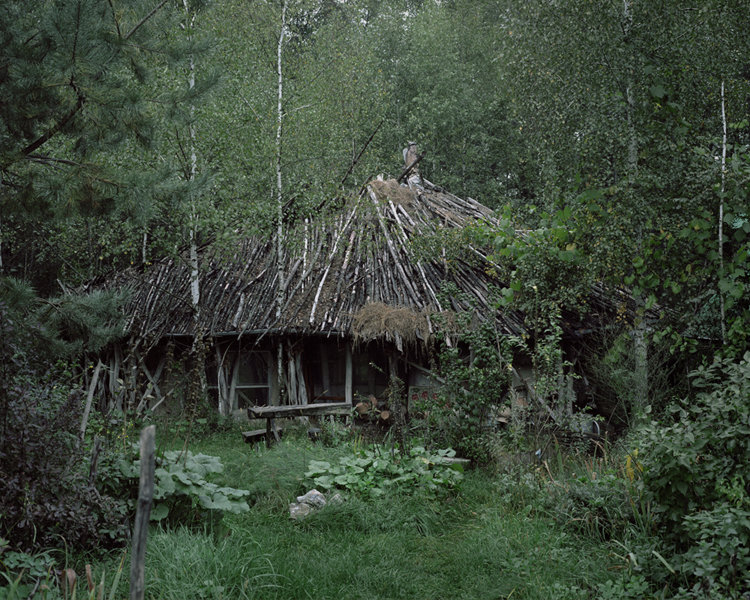 Click to enlarge hermit