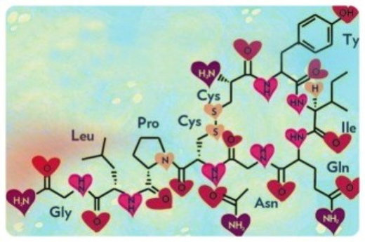 oxytocin