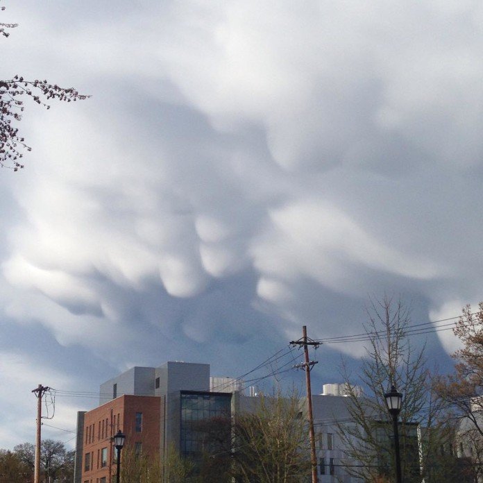 Click to enlarge Mammatus clouds