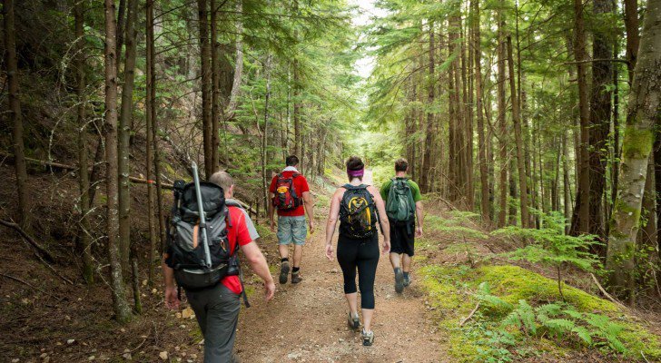 hiking, nature walks