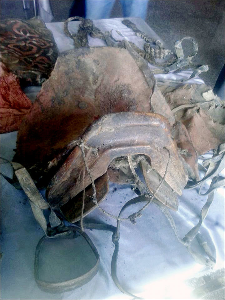 Click to enlarge mongolia mummy