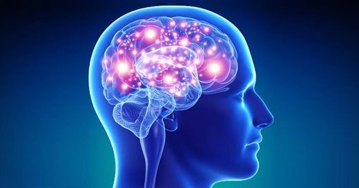neuroplasticity, brain