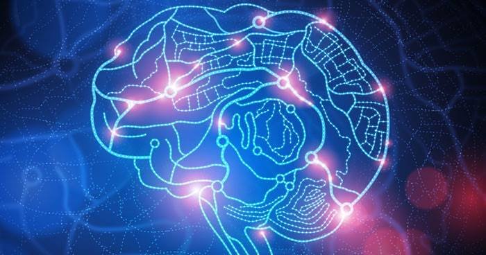 Click to enlarge brain cognition