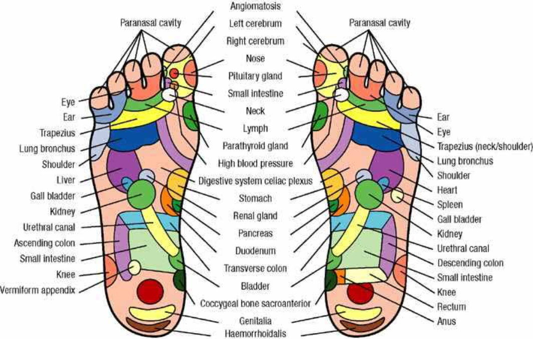 Click to enlarge reflexology