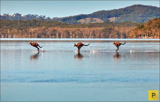 Click to enlarge Lake Weyba