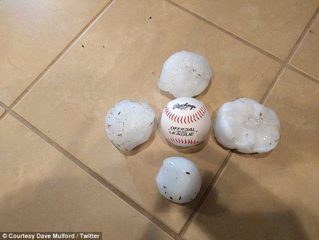 Click to enlarge Horrific: These are four of the hail stones, the size of a baseball, which battered northern Texas on Monday
