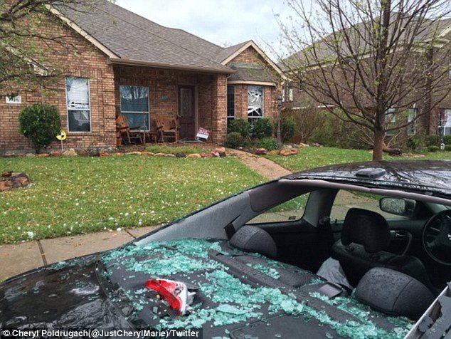 Click to enlarge Footage shared by people in Dallas, Fort Worth, Wylie and Denton showed astonishing clumps of ice bigger than an adult hand that fell during one of the worst storms the region has seen in months