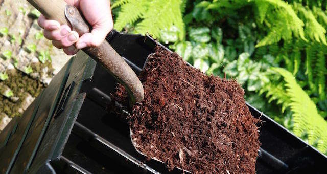 Click to enlarge dirt