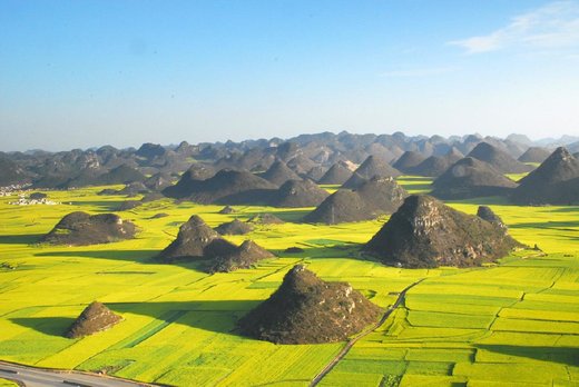 Click to enlarge The Sea Of Golden Flowers Louping China