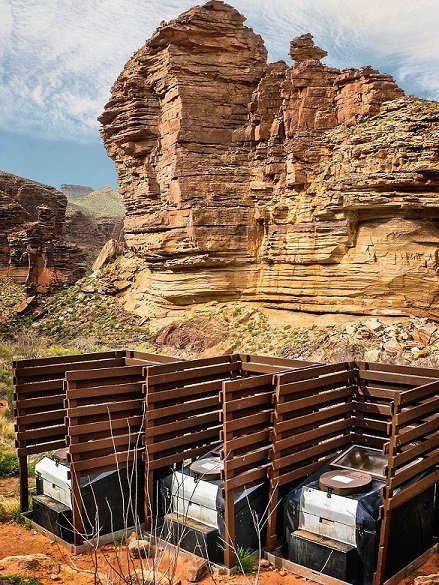 Click to enlarge tonto trail toilet