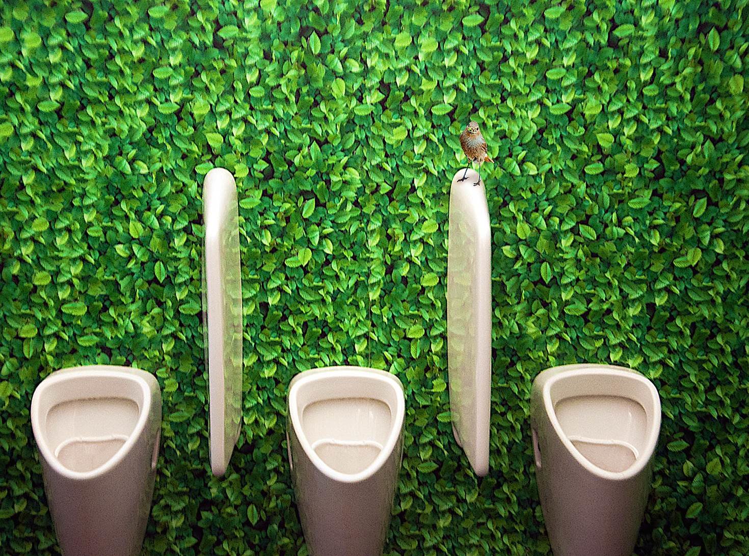 Click to enlarge leafy loo