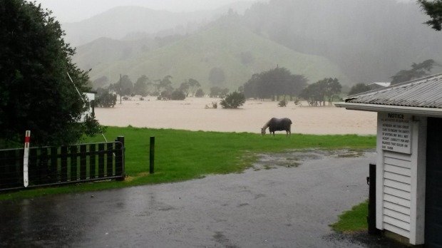 Heavy rain in the Coromandel drenches paddocks.