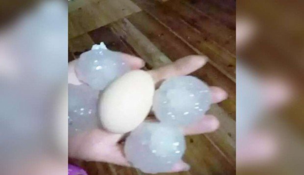 Hailstones the size of birds’ eggs hit Hunan over the weekend, according to media reports