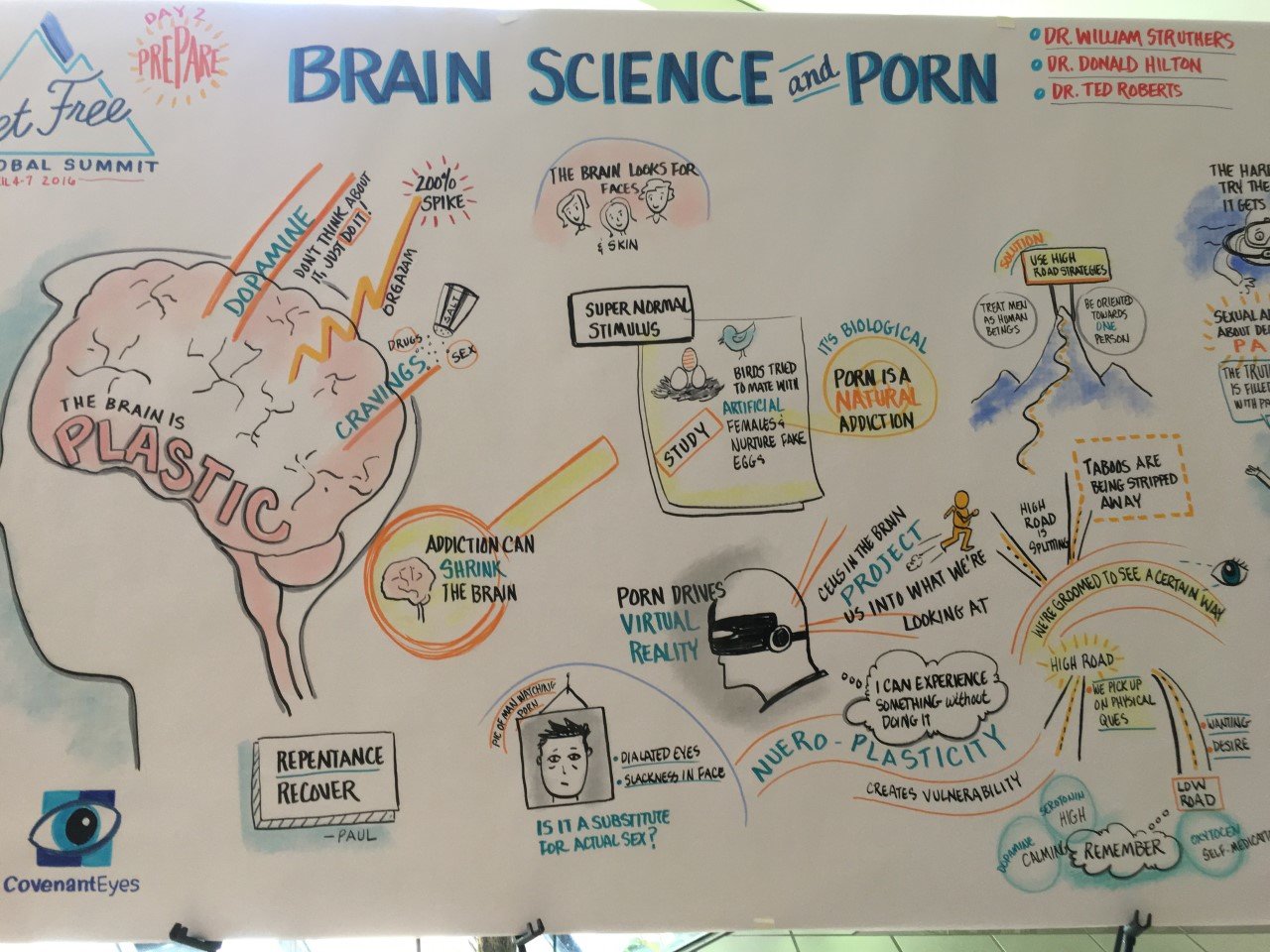 brain on porn