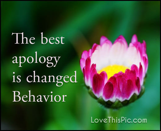 Click to enlarge Apology