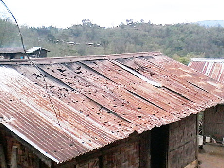 Roof damaged by hailstones that fell in and around Suruhuto-Asuto town under Zunheboto district on April 18. 