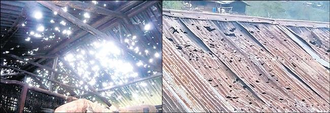 Roof damaged by hailstones that fell in and around Suruhuto-Asuto town under Zunheboto district on April 18. 