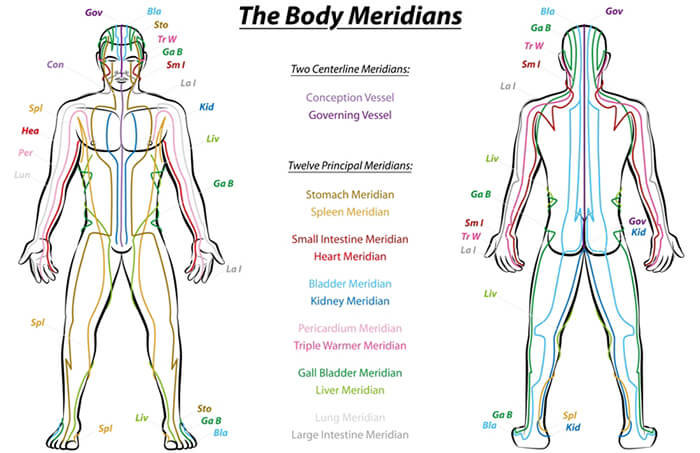 meridians