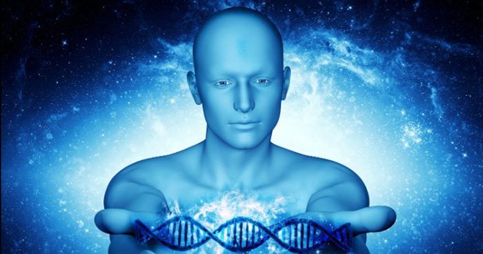 information relayed by DNA