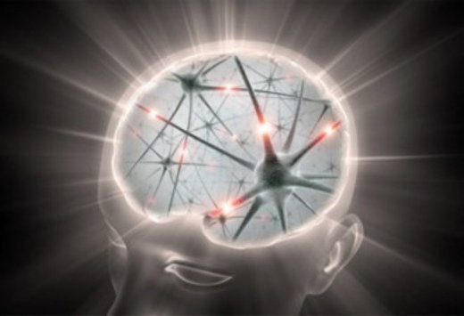 brain boosting herbs