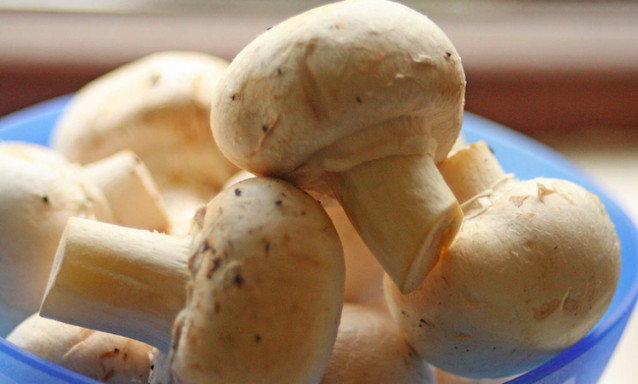 Click to enlarge frakenfungi