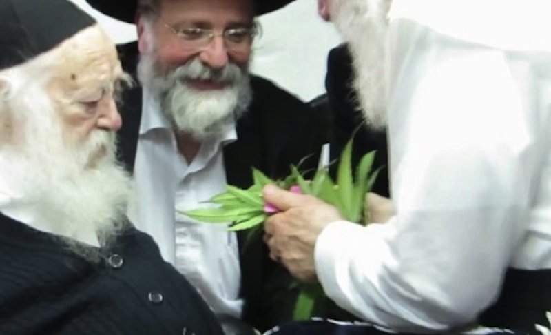 cannabis is kosher
