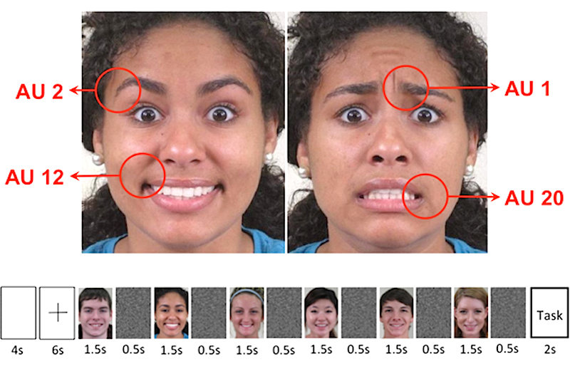 Click to enlarge facial expressions