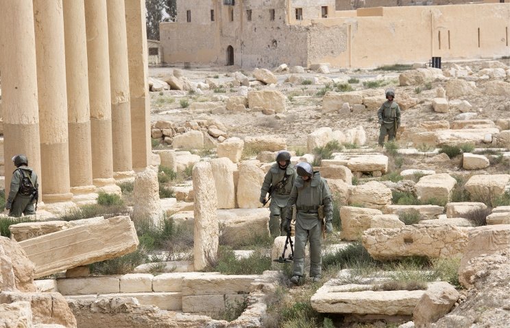 Palmyra