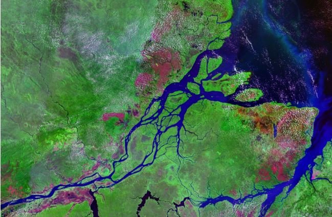 Amazon River