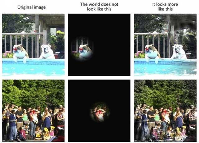 Click to enlarge perceptual experience