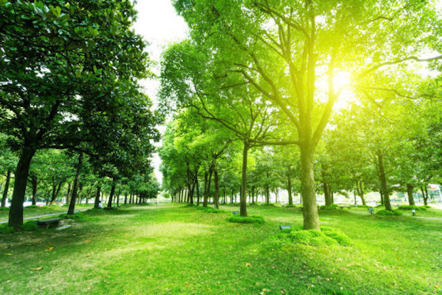 Click to enlarge nature linked lower disease