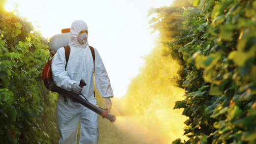 Click to enlarge pesticides