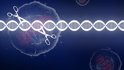 Click to enlarge gene editing