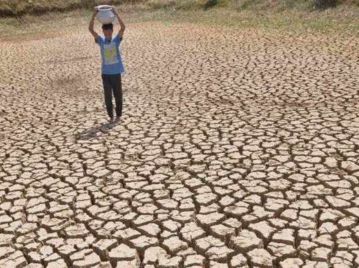 Heat wave in India