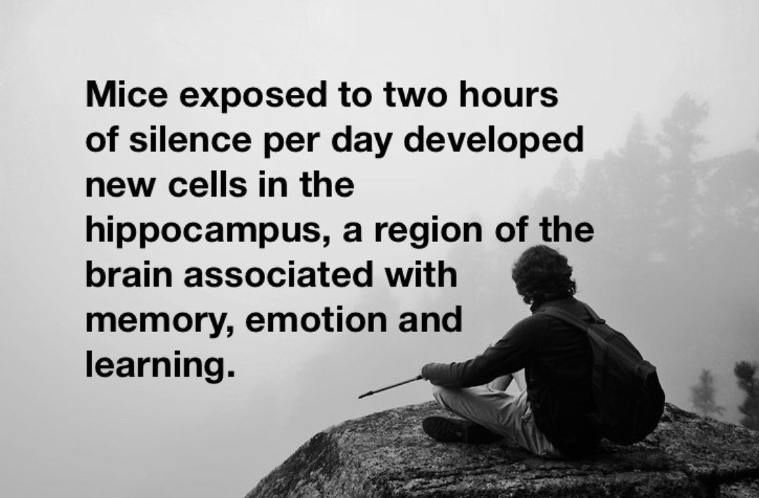 Click to enlarge Silence