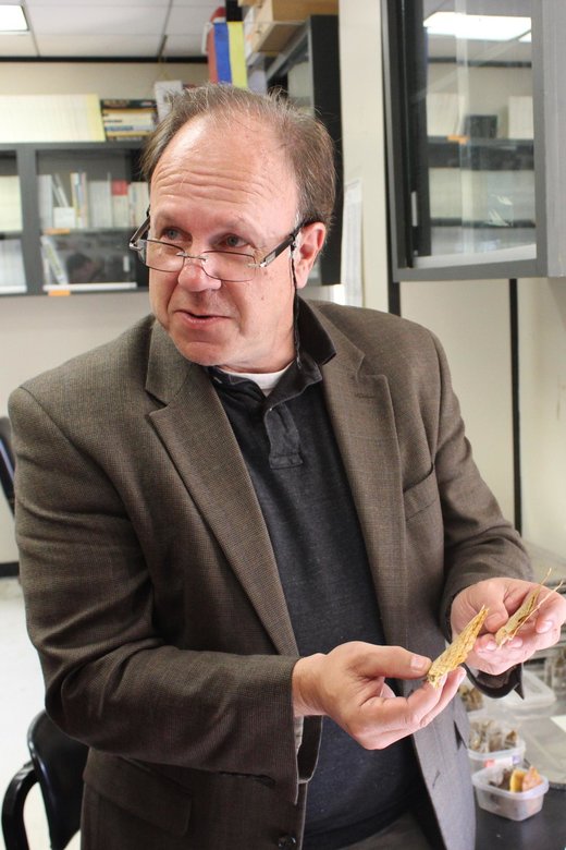 Click to enlarge Man in office