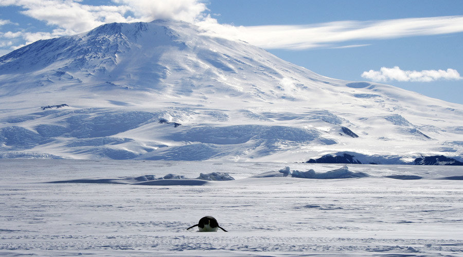 Antartica