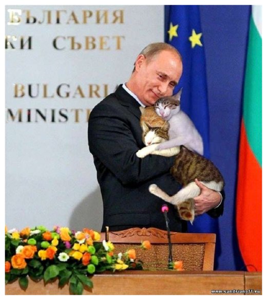 Putin with Cats