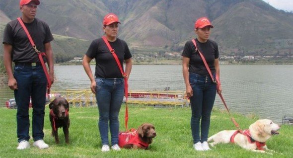 dog trainers
