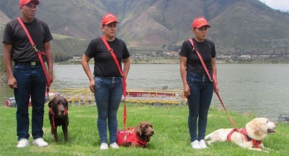 Click to enlarge dog trainers
